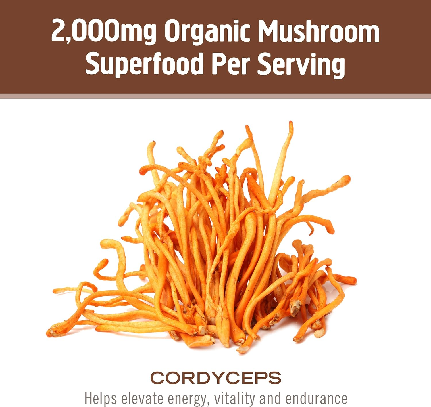 Om Mushroom Superfood Cordyceps Organic Mushroom Powder, 3.5 Ounce, 50 Servings, Energy, Power, Stamina and Endurance Support, Superfood Supplement for Sports Performance