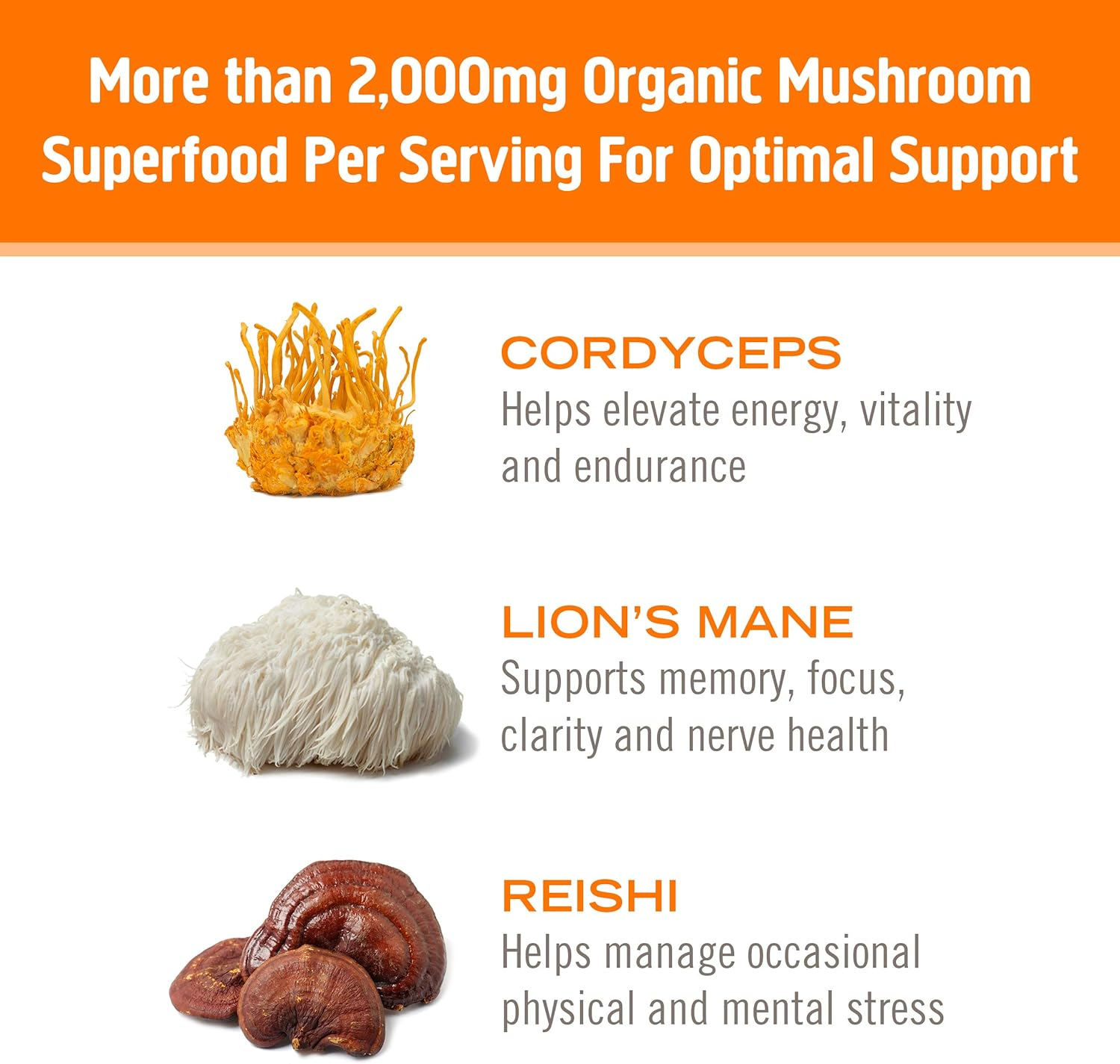 Om Mushroom Superfood Energy Plus Mushroom Powder Drink Mix, Citrus Orange, 4 Ounce, 18 Servings, Mushroom Blend, Cordyceps, Yerba Mate, Tumeric, Vitamin B Complex, Pre-Workout, Immune Supplement