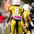 Battle Sports Novelty Football Back Plate - Lower Backplate for Shoulder Pads - Rear Back Protector Hard Outer Shell & Contoured Foam for Kids & Adults - Strabella